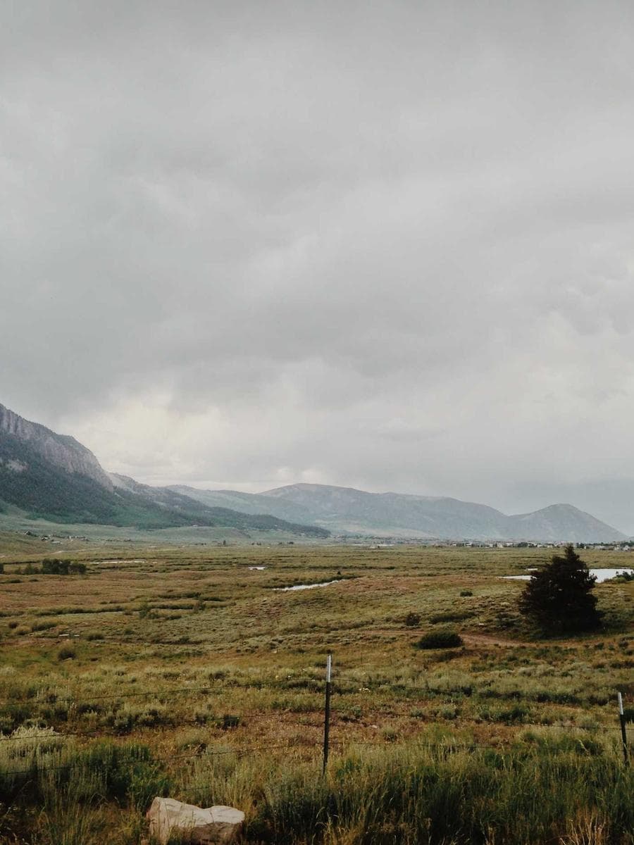 Education support activity