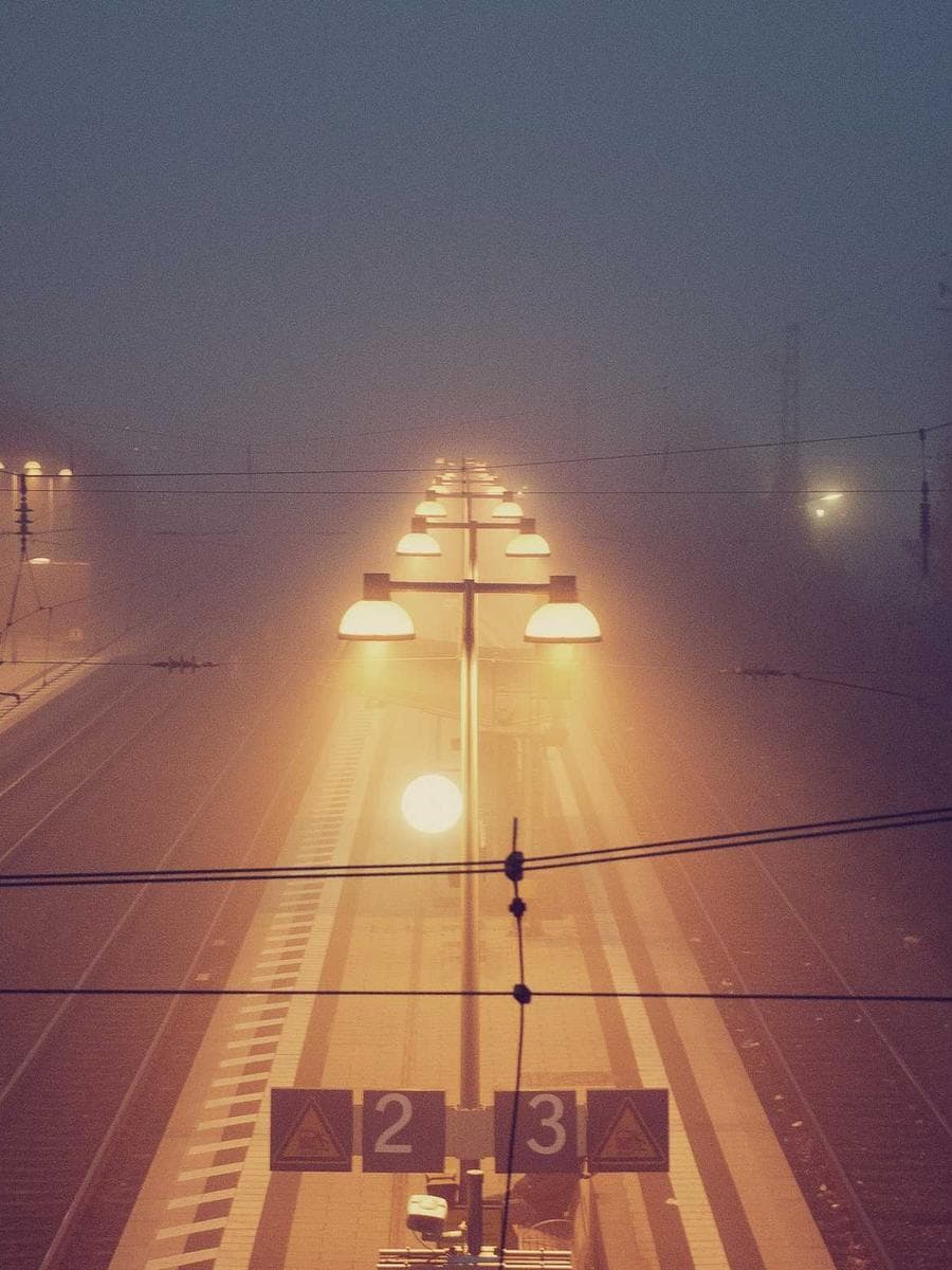 Food Distribution Drive